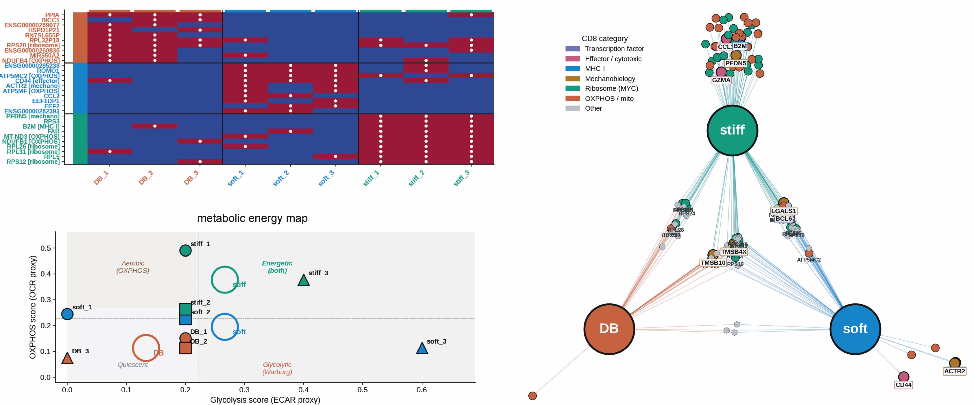 Multi-omics analysis